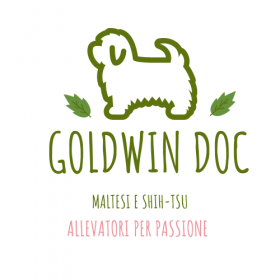 Di Valentina Rossi dal 2002    PROSSIME CUCCIOLATE FINE OTTOBRE 2020 - Goldwin Doc